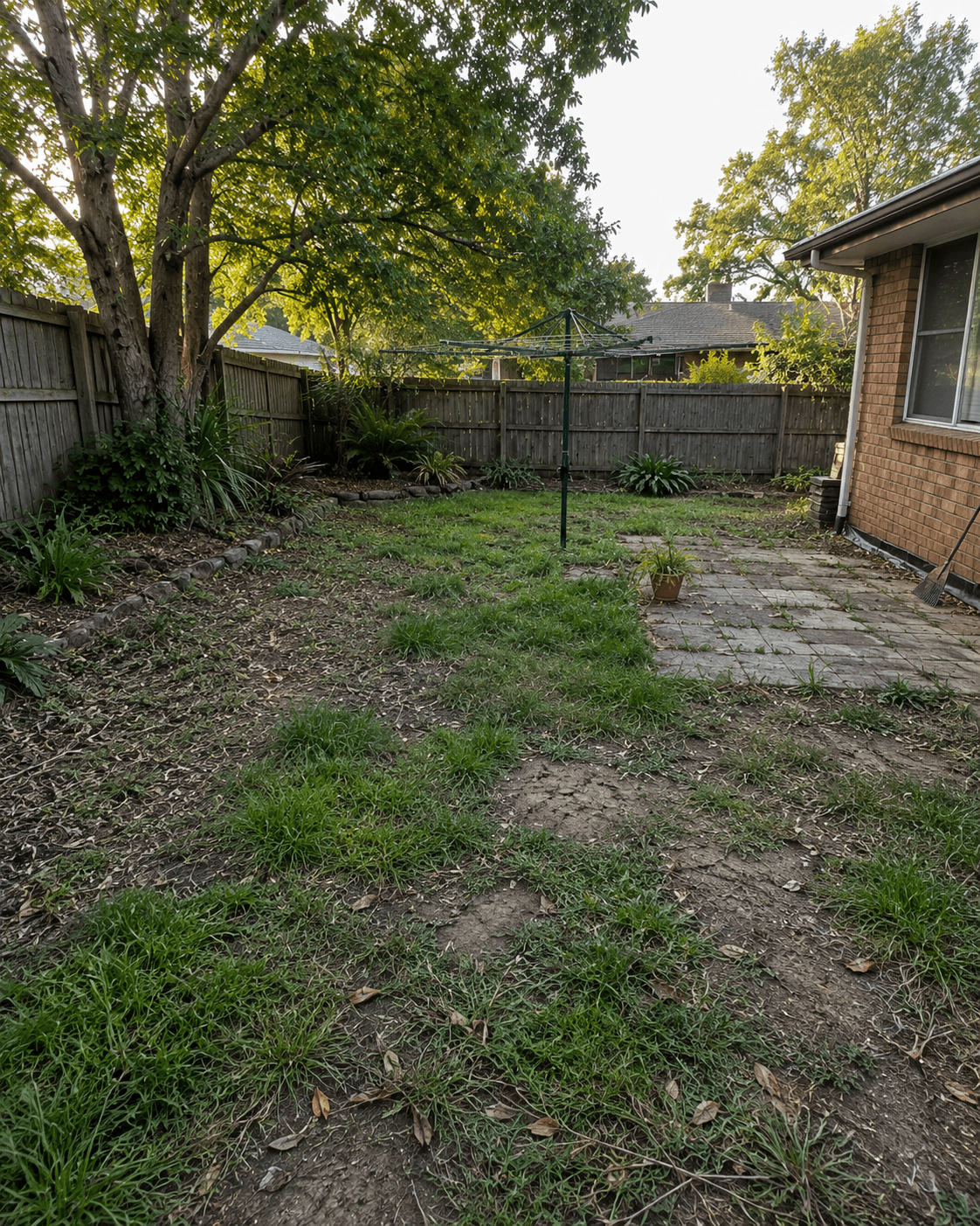 Original unlandscaped yard condition before planning